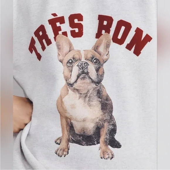 Anthropologie Light Gray Sweater with Red and Brown Design - Picture 2 of 4